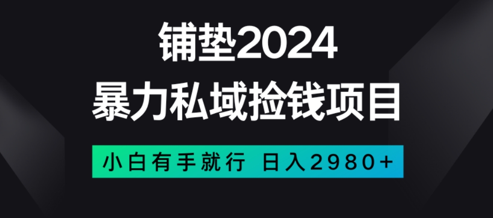 暴力私域捡钱项目，小白无脑操作，日入2980【揭秘】-优品网赚资源库