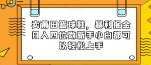 卖莆田篮球鞋，暴利掘金日入四位数新手小白都可以轻松上手【揭秘】-优品网赚资源库