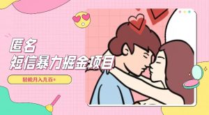 全网首发，揭秘超冷门匿名短信项目，通过信息差日入几百+【揭秘】-优品网赚资源库