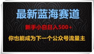 最新蓝海赛道，新手小白日入500+，你也能成为下一个公众号流量主【揭秘】-优品网赚资源库
