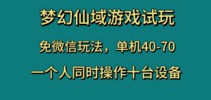 梦幻仙域游戏试玩,免微信玩法,单机40-70,一个人同时操作十台设备【揭秘】-优品网赚资源库