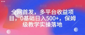 全网首发，多平台收益项目，0基础日入500+，保姆级教学实操落地【揭秘】-优品网赚资源库