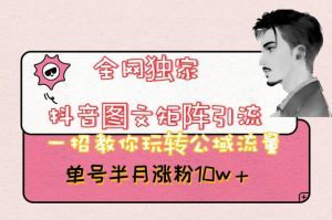 全网独家抖音图文矩阵引流，一招教你玩转公域流量，单号半月涨粉10w+【揭秘】-优品网赚资源库