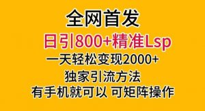 全网首发!日引800+精准老色批,一天变现2000+,独家引流方法,可矩阵操作【揭秘】-优品网赚资源库