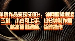 单条作品变现5000+、外网视频搬运二创，小白可上手，10分钟制作爆款高原创视频，矩阵操作【揭秘】-优品网赚资源库