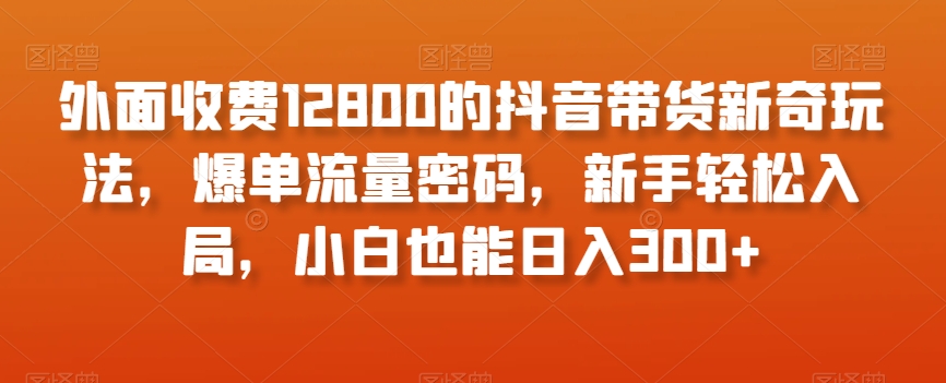外面收费12800的抖音带货新奇玩法，爆单流量密码，新手轻松入局，小白也能日入300+【揭秘】-优品网赚资源库