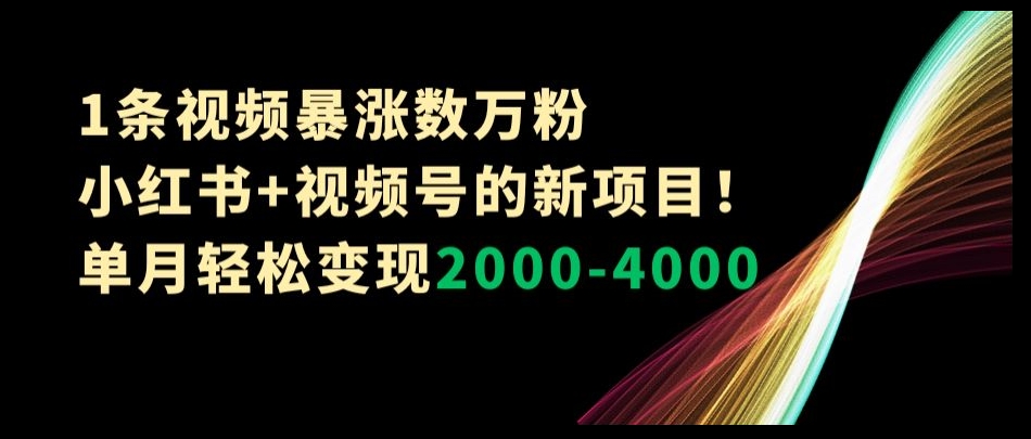 1条视频暴涨数万粉–小红书+视频号的新项目！单月轻松变现2000-4000【揭秘】-优品网赚资源库
