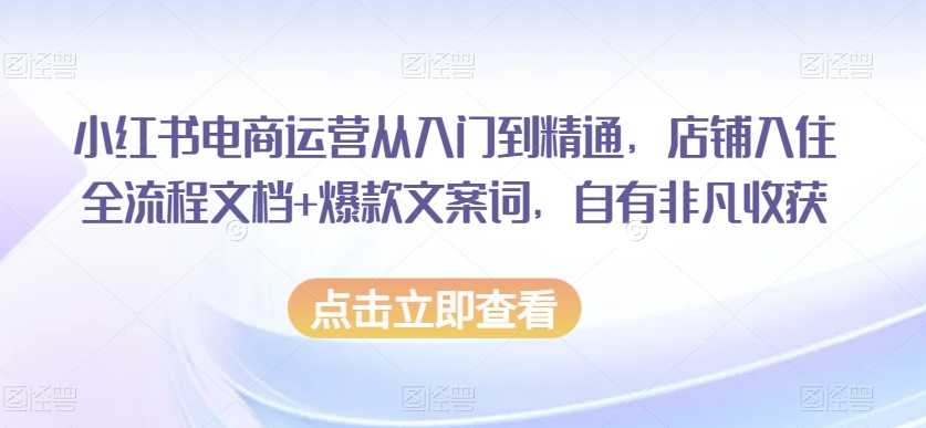 小红书电商运营从入门到精通，店铺入住全流程文档+爆款文案词，自有非凡收获-优品网赚资源库