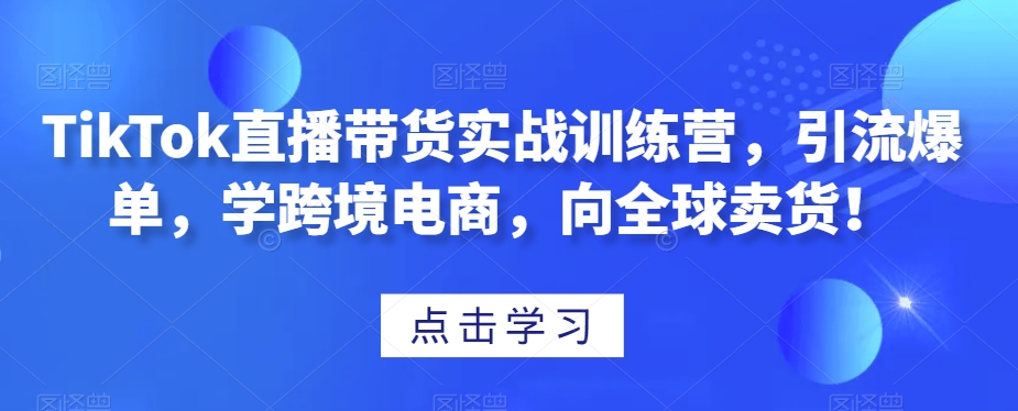 TikTok直播带货实战训练营，引流爆单，学跨境电商，向全球卖货！-优品网赚资源库