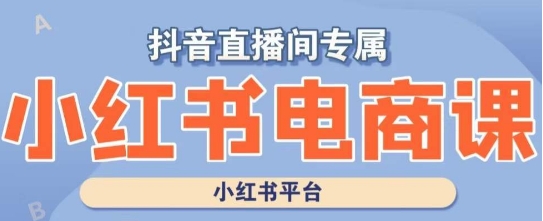 小红书电商高级运营课程，实操教学+案例分析-优品网赚资源库