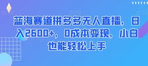 蓝海赛道拼多多无人直播，日入2600+，0成本变现，小白也能轻松上手【揭秘】-优品网赚资源库