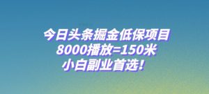 今日头条掘金低保项目，8000播放=150米，小白副业首选【揭秘】-优品网赚资源库