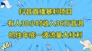 抖音直播暴利项目，有人30小时收入36万音浪，公司宣传片年会视频制作，抓住年底一波流量大红利【揭秘】-优品网赚资源库