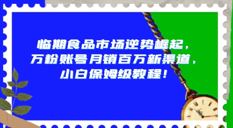 临期食品市场逆势崛起，万粉账号月销百万新渠道，小白保姆级教程【揭秘】-优品网赚资源库