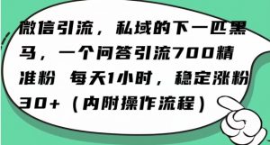 怎么搞精准创业粉?微信新赛道,每天一小时,利用Ai一个问答日引100精准粉-优品网赚资源库