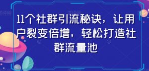 11个社群引流秘诀，让用户裂变倍增，轻松打造社群流量池-优品网赚资源库