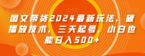 图文带货2024最新玩法，破播放技术，三天起号，小白也能日入500+【揭秘】-优品网赚资源库