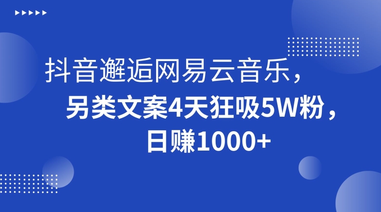 抖音邂逅网易云音乐,另类文案4天狂吸5W粉,日赚1000+【揭秘】-优品网赚资源库