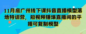 11月底广州线下课抖音直播模型落地特训营，短视频锤爆直播间的平播可复制模型-优品网赚资源库