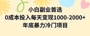 小白副业首选，0成本投入，每天变现1000-2000年底暴力冷门项目【揭秘】-优品网赚资源库