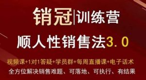 爆款！销冠训练营3.0之顺人性销售法，全方位解决销售难题、可落地、可执行、有结果-优品网赚资源库