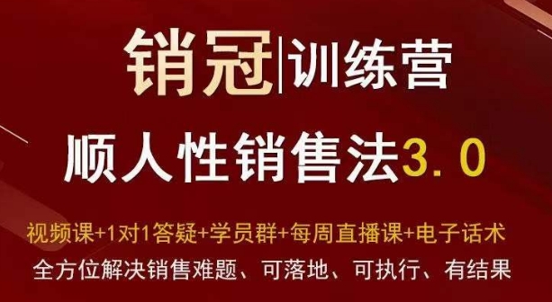 爆款！销冠训练营3.0之顺人性销售法，全方位解决销售难题、可落地、可执行、有结果-优品网赚资源库