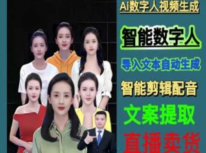 伍老师Ai数字人快速剪辑制作以及变现视频课-优品网赚资源库