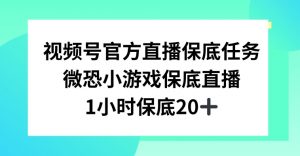 视频号直播任务，微恐小游戏，1小时20+【揭秘】-优品网赚资源库