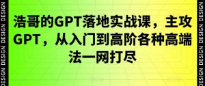 浩哥的GPT落地实战课,主攻GPT,从入门到高阶各种高端法一网打尽-优品网赚资源库