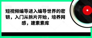 短视频编导进入编导世界的密钥,入门从拆片开始,培养网感,建素素库-优品网赚资源库