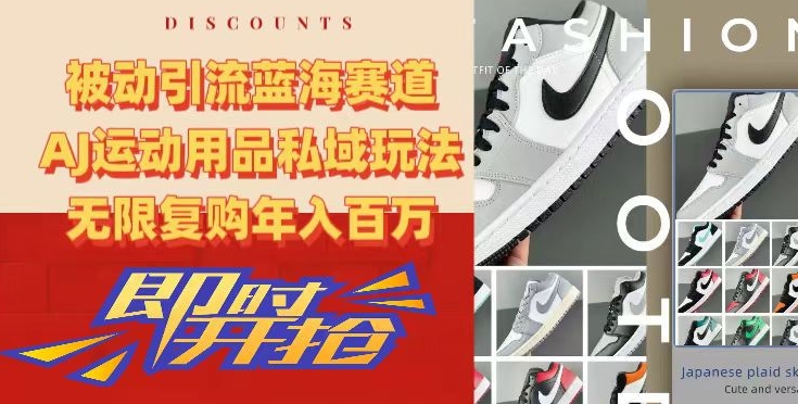 被动引流蓝海赛道，AJ运动用品私域玩法，无限复购年入百万【揭秘】-优品网赚资源库