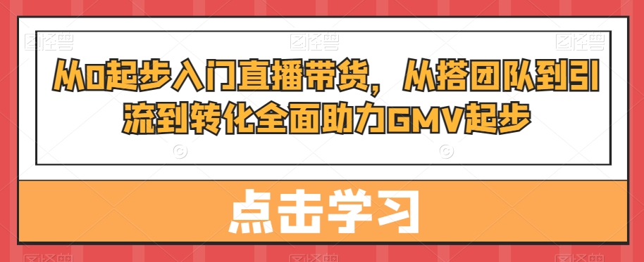 从0起步入门直播带货,从搭团队到引流到转化全面助力GMV起步-优品网赚资源库
