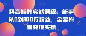 抖音矩阵实战课程:新手从0到100万粉丝,全套抖音变现实操-优品网赚资源库