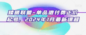 臻曦联盟-单品微付费正价起号，2024年1月最新课程-优品网赚资源库