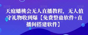 天庭蟠桃会无人直播教程，无人值守礼物收到爆【免费整蛊软件+直播间搭建软件】-优品网赚资源库