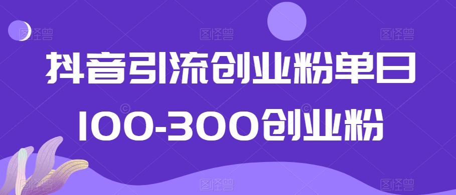 抖音引流创业粉单日100-300创业粉【揭秘】-优品网赚资源库