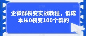 企微群裂变实战教程,低成本从0裂变100个群的-优品网赚资源库
