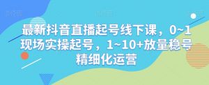 最新抖音直播起号线下课,0~1现场实操起号,1~10+放量稳号精细化运营-优品网赚资源库