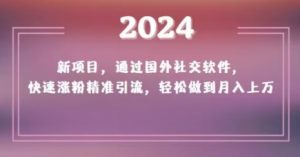 2024新项目，通过国外社交软件，快速涨粉精准引流，轻松做到月入上万【揭秘】-优品网赚资源库