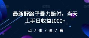 最新野路子暴力赔付，当天上手日收益1000+【仅揭秘】-优品网赚资源库