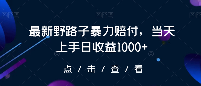 最新野路子暴力赔付，当天上手日收益1000+【仅揭秘】-优品网赚资源库