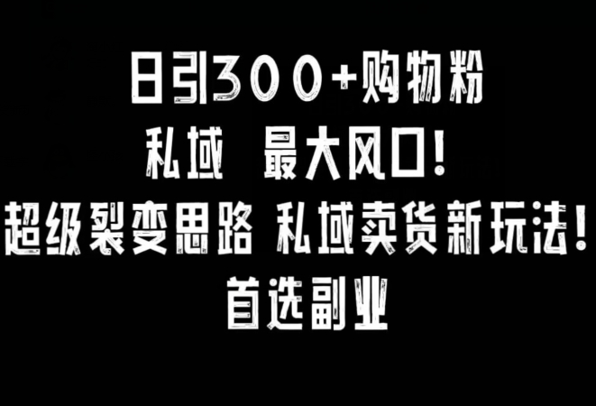 日引300+购物粉,超级裂变思路,私域卖货新玩法,小红书首选副业【揭秘】-优品网赚资源库