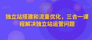 独立站搭建和流量优化,三合一课程解决独立站运营问题-优品网赚资源库