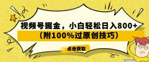 视频号掘金，小白轻松日入800+（附100%过原创技巧）【揭秘】-优品网赚资源库