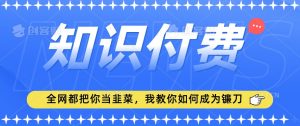 2024最新知识付费项目，小白也能轻松入局，全网都在教你做项目，我教你做镰刀【揭秘】-优品网赚资源库