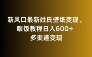 新风口最新姓氏壁纸变现，喂饭教程日入600+【揭秘】-优品网赚资源库