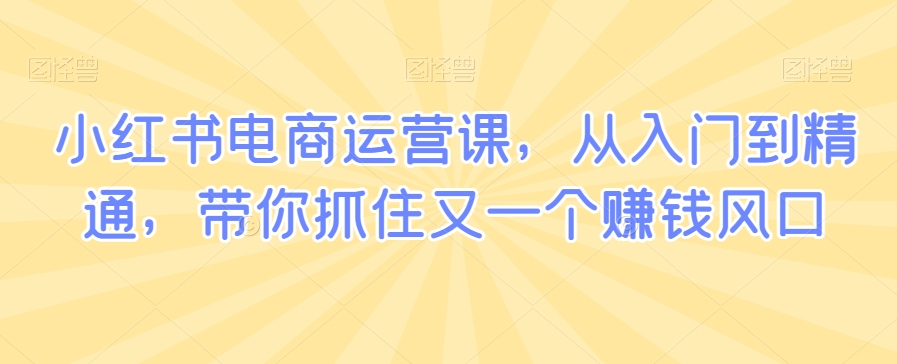 小红书电商运营课，从入门到精通，带你抓住又一个赚钱风口-优品网赚资源库