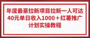 年度最豪拉新项目拉新一人可达40元单日收入1000＋红薯推广计划实操教程【揭秘】-优品网赚资源库