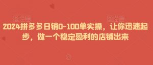 2024拼多多日销0-100单实操，让你迅速起步，做一个稳定盈利的店铺出来-优品网赚资源库