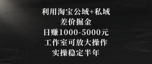利用淘宝公域+私域差价掘金，日赚1000-5000元，工作室可放大操作，实操稳定半年【揭秘】-优品网赚资源库